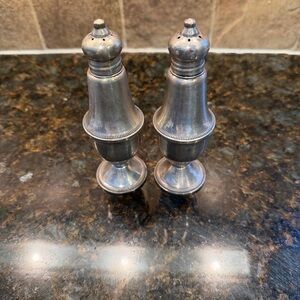 Elegant Silver Salt and Pepper Shakers